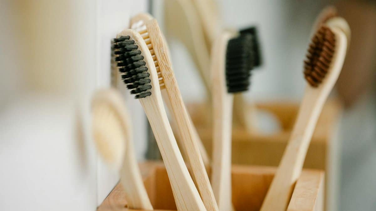 Wooden natural toothbrushes placed in timber container on blurred background at home in daytime