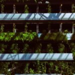 Modern facade with lush vertical garden in Portland, showcasing urban greenery.