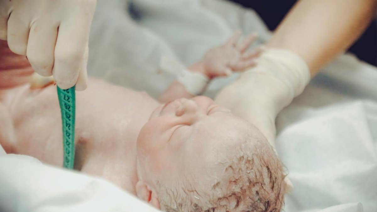 A newborn baby being measured by a medical professional in a hospital setting.