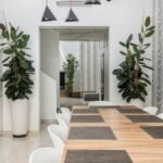 Spacious and stylish dining area with contemporary design and indoor plants.