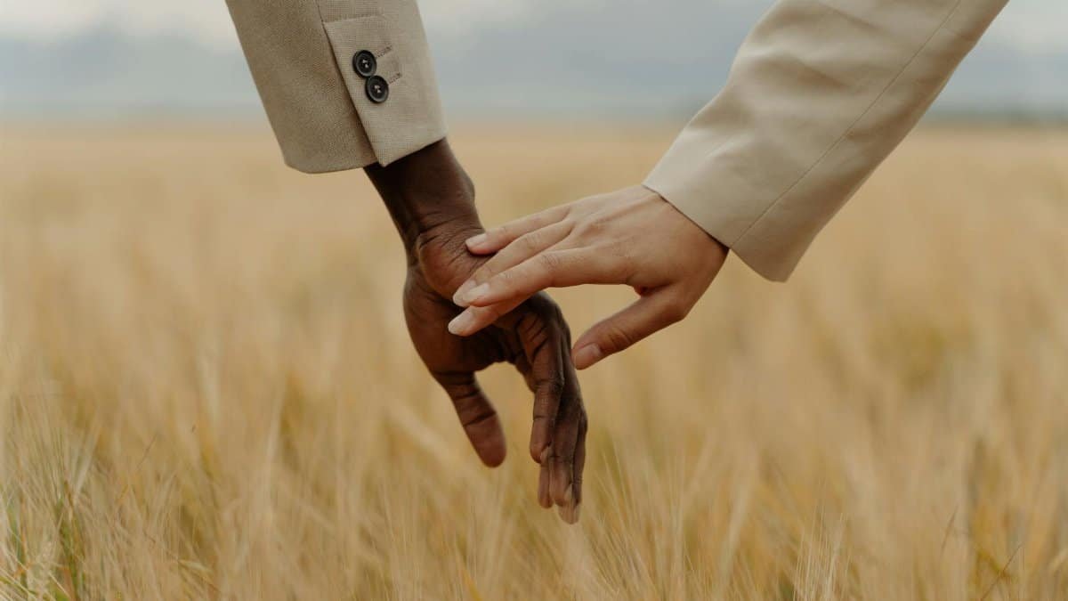 Diverse hands in fall field symbolize unity and connection.