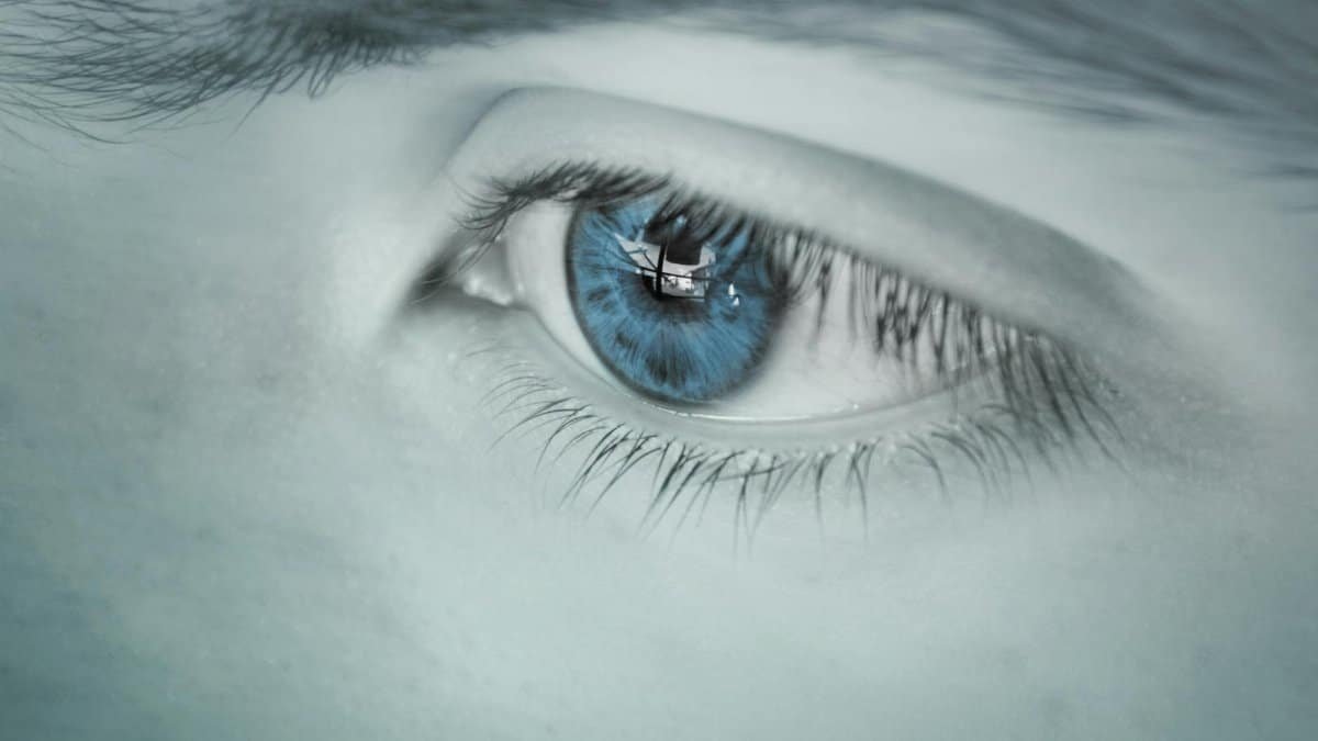 Detailed close-up of a blue eye showing a reflection, emphasizing uniqueness.