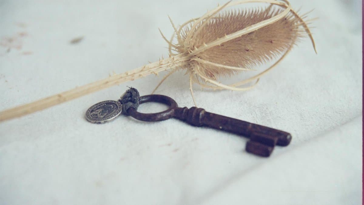 Antique key with dried wild teasel on a soft fabric background. Rustic and vintage feel.