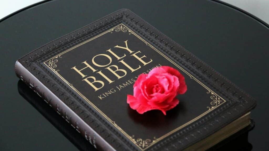 King James Bible with a pink flower on top, symbolizing faith and beauty.