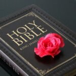 King James Bible with a pink flower on top, symbolizing faith and beauty.