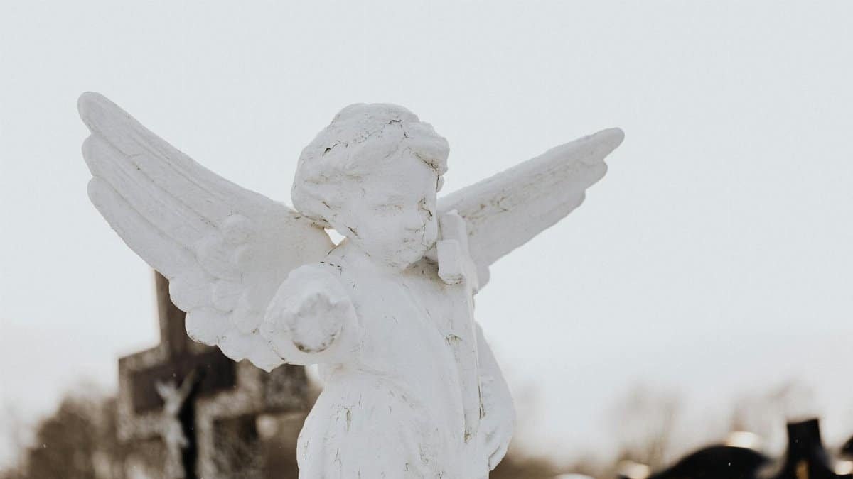 A serene stone angel statue photographed outdoors, symbolizing peace.