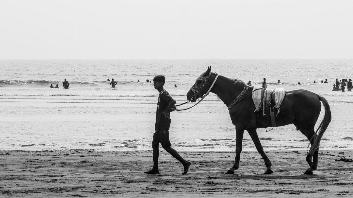 Black and white photo of a boy leading a horse along Cox's Bazar beach.