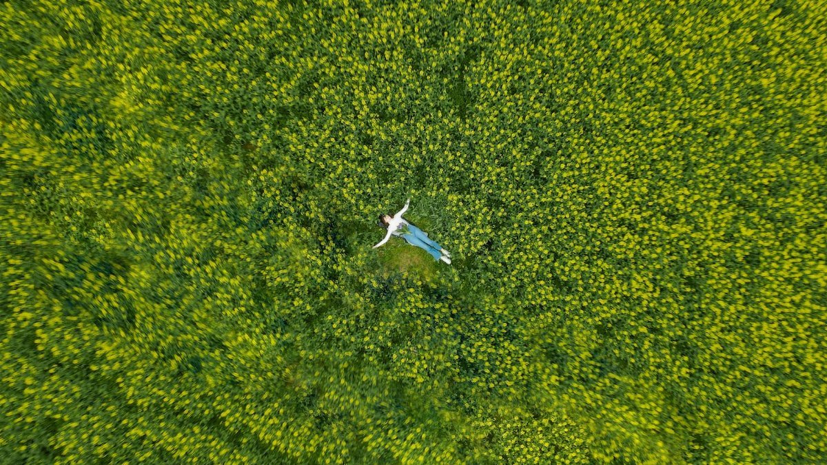 Drone shot of a person in white long sleeves and blue pants lying in a green field with yellow flowers.