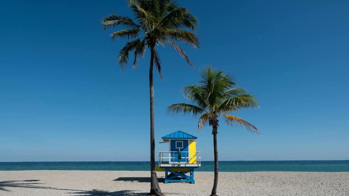 Serene Florida beach scene with palm trees and colorful lifeguard hut on a sunny day.