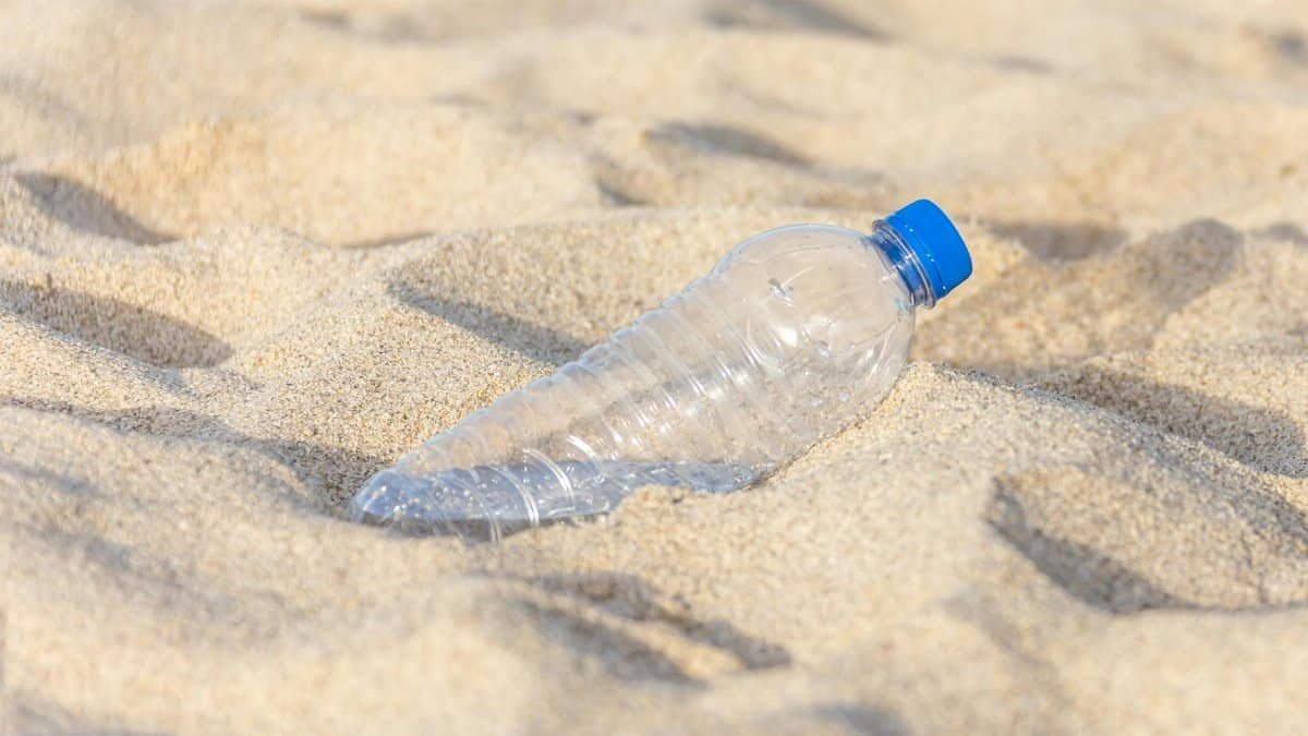 Plastic bottle on sandy beach highlighting pollution and environmental impact.