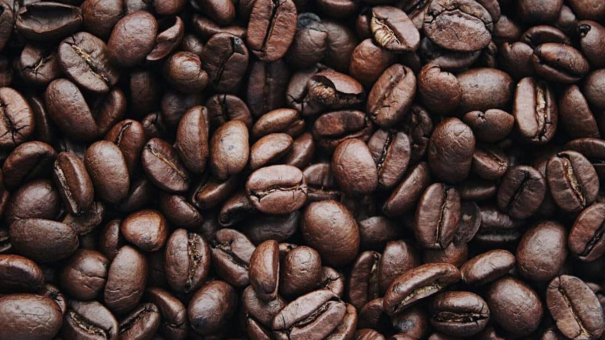 A detailed view of aromatic roasted Arabica coffee beans, highlighting texture and brown color.