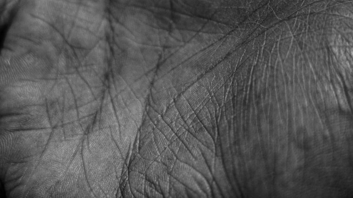 Detailed black and white close-up of human palm showing skin texture and lines.