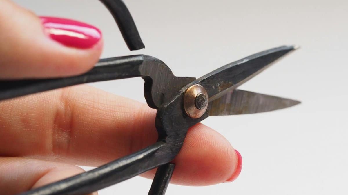 A detailed close-up of a hand with pink nail polish holding scissors, showcasing the sharp blades.