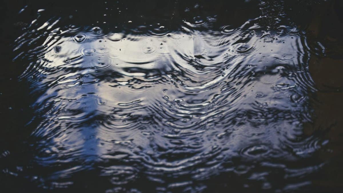 Rippling water surface with raindrops creating reflections abstractly. Perfect for nature and weather themes.