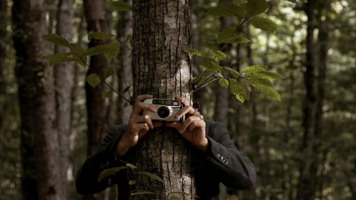 A person hidden behind a tree with a camera in a dense forest setting.
