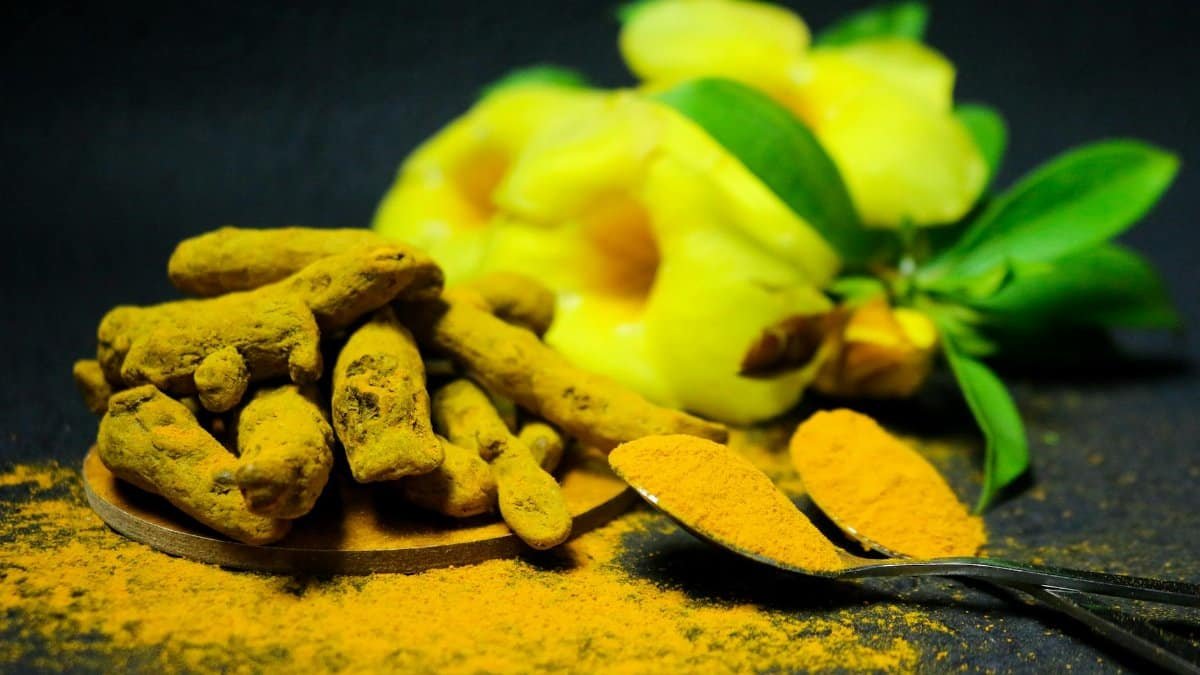 Colorful close-up of turmeric roots, powder, and herbs on a dark backdrop, offering a vibrant culinary scene.