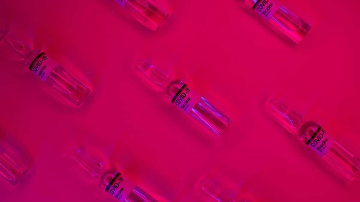 Layout of doses of coronavirus vaccine in glass transparent vials placed on bright fuchsia background in studio