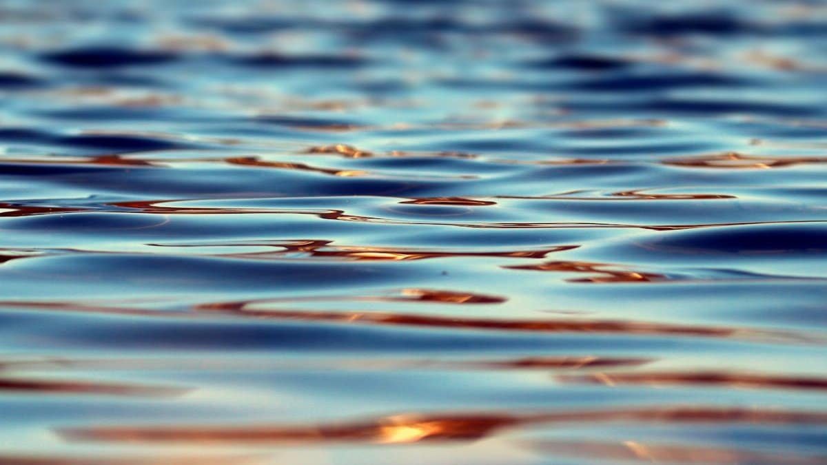Close-up of serene water surface showcasing gentle ripples and warm reflections in natural light.