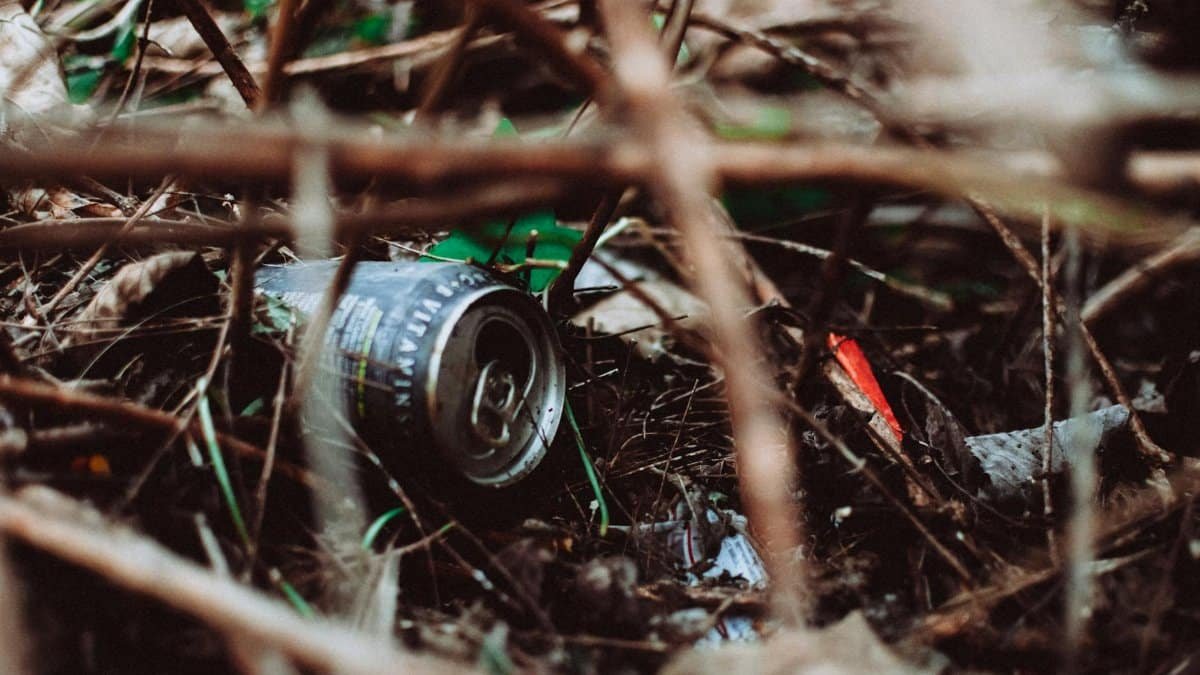 Close-up of a discarded can and trash in the underbrush, highlighting urban waste in nature.
