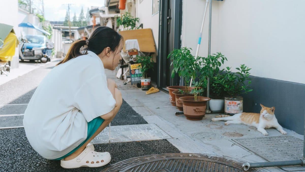 A candid street interaction between a woman and a cat in a lively urban setting.