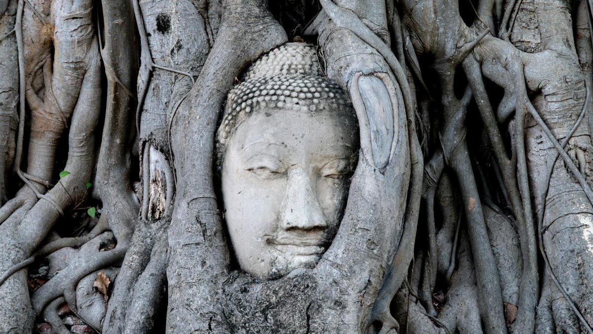 Buddha head entwined in tree roots at Wat Mahathat, Ayutthaya, Thailand.