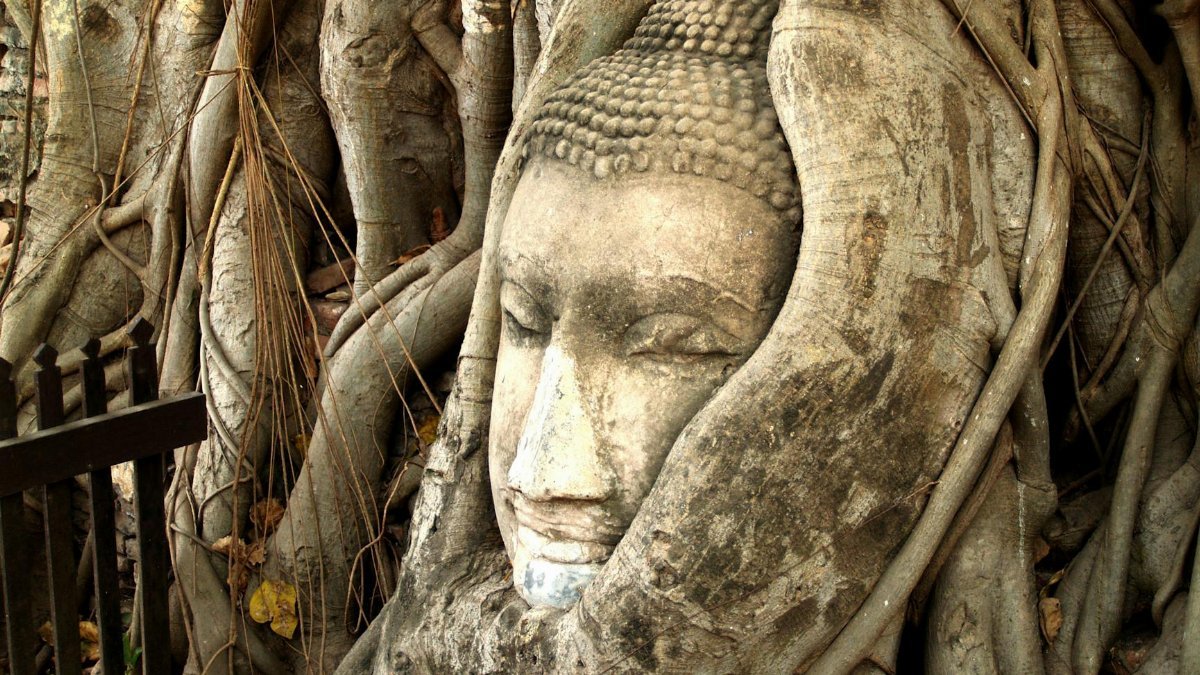 Famous Buddha head entwined in tree roots at Wat Mahathat, Ayutthaya, symbolizing Thai culture and spirituality.