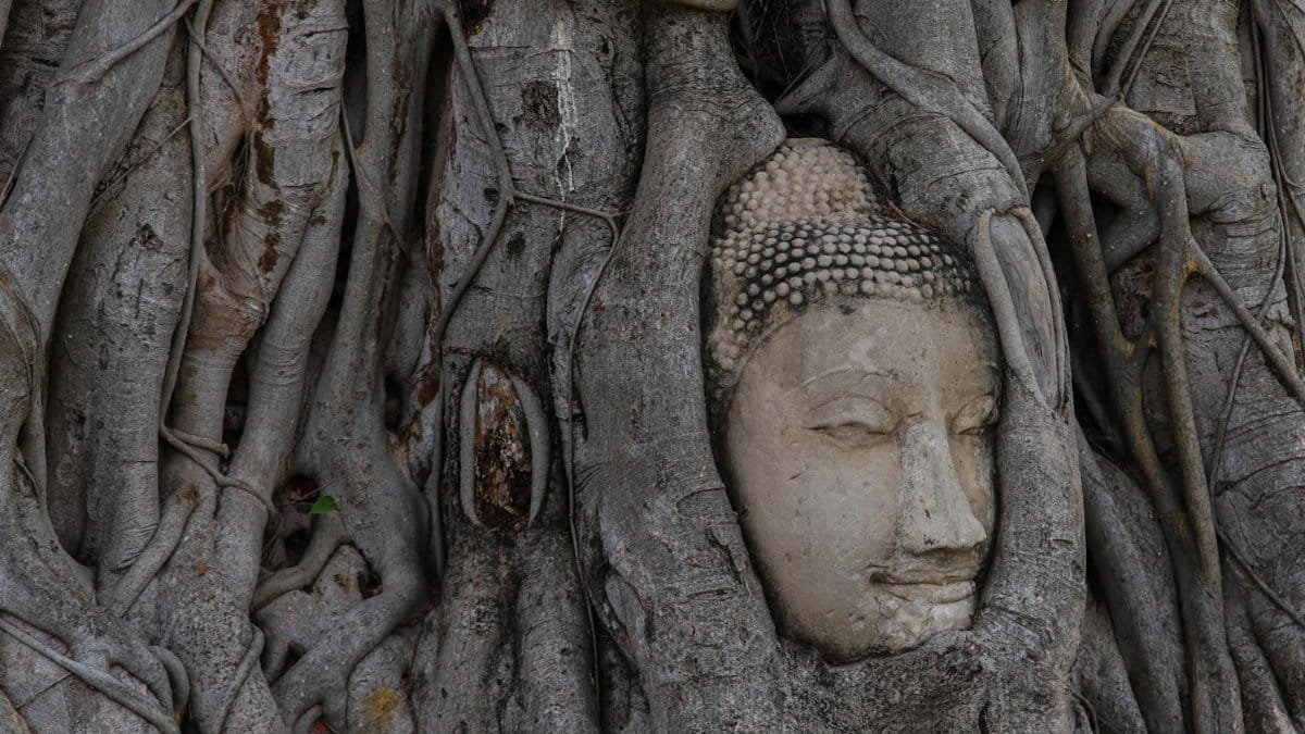 Serene Buddha head embedded in ancient tree roots at Ayutthaya, symbolizing peace and harmony.
