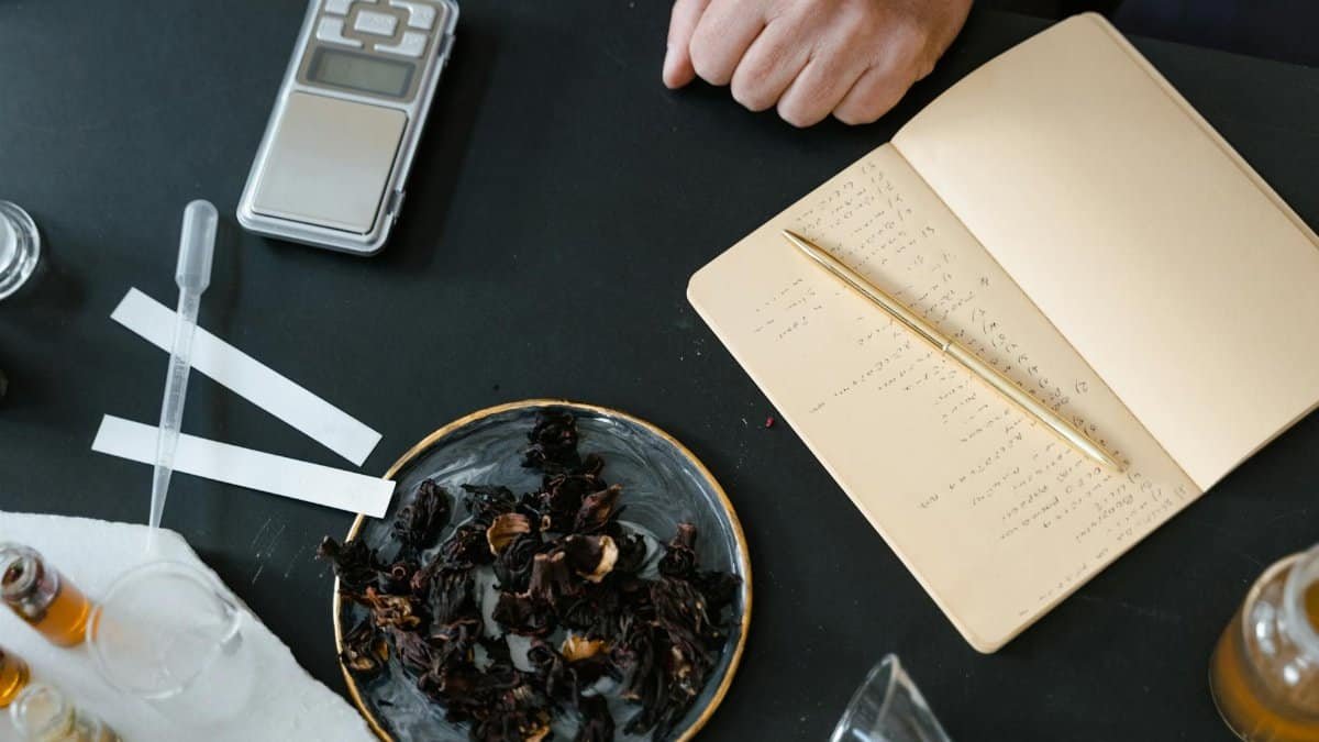 Aromatherapy setup including herbs, notebook, pipette, and scales on a table.