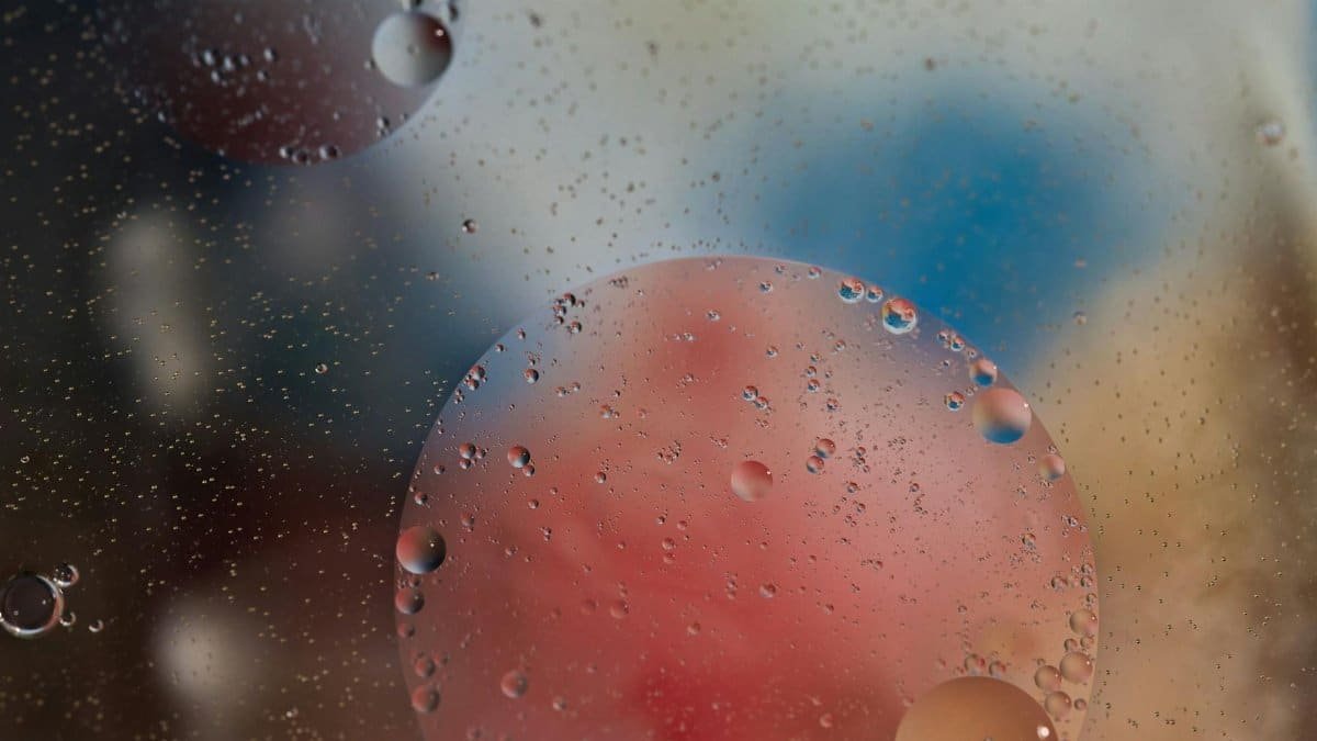 Abstract macro photograph of colorful oil and water bubbles creating a unique texture with blurred background.