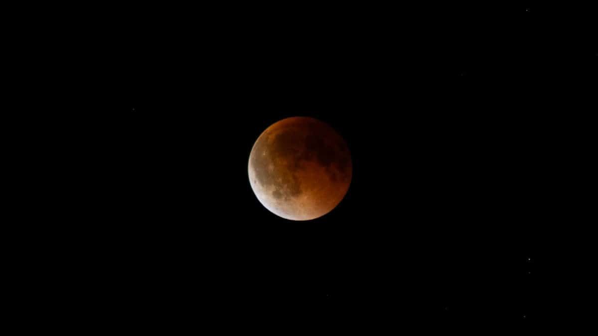 Free stock photo of astronomy, astrophotography, blood moon