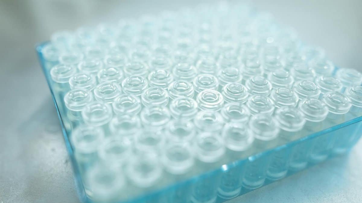 A detailed close-up of transparent glass vials arranged in a blue tray, ideal for scientific analysis.
