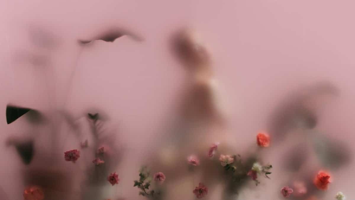 Abstract image of blurred flowers and person silhouette behind translucent glass with pink background.