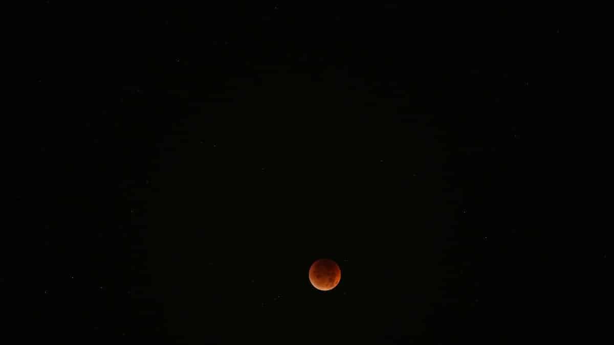 Uncovering Miami's Silent Stressors