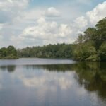 What Breathwork Can Teach Us About True Peace Featured