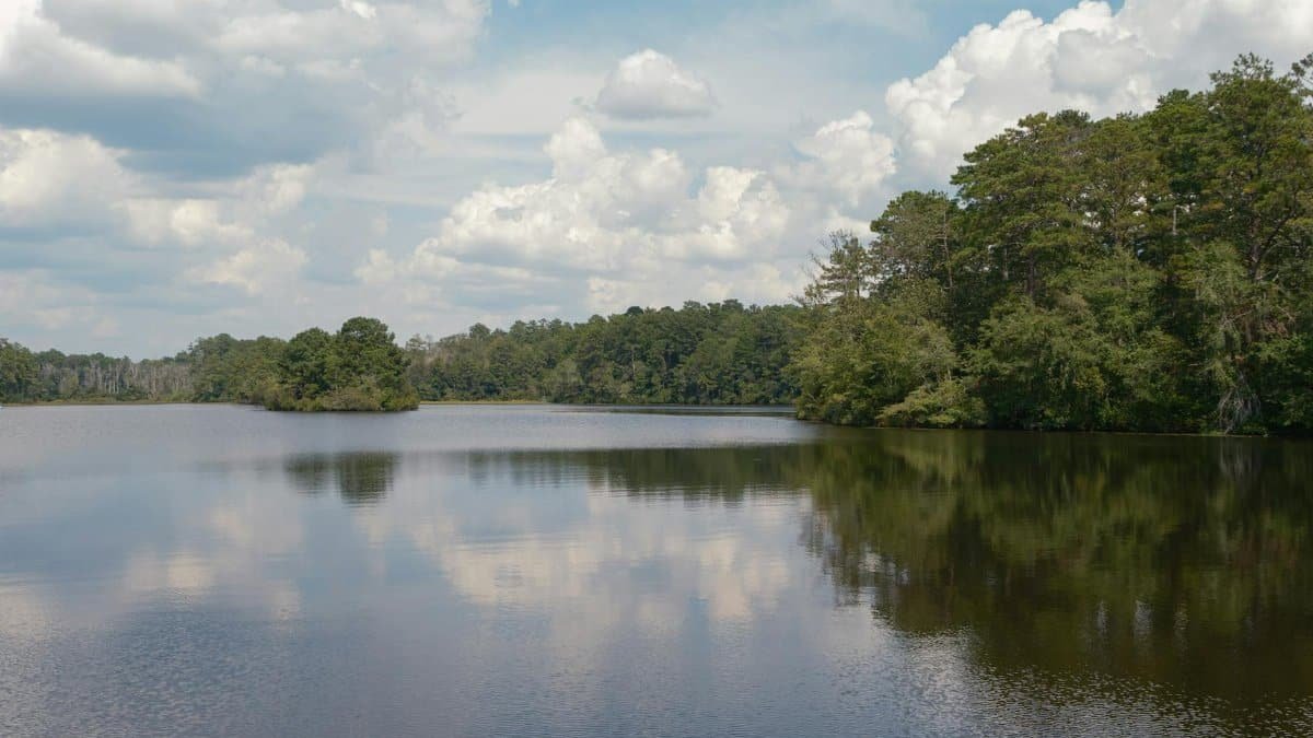 What Breathwork Can Teach Us About True Peace Featured