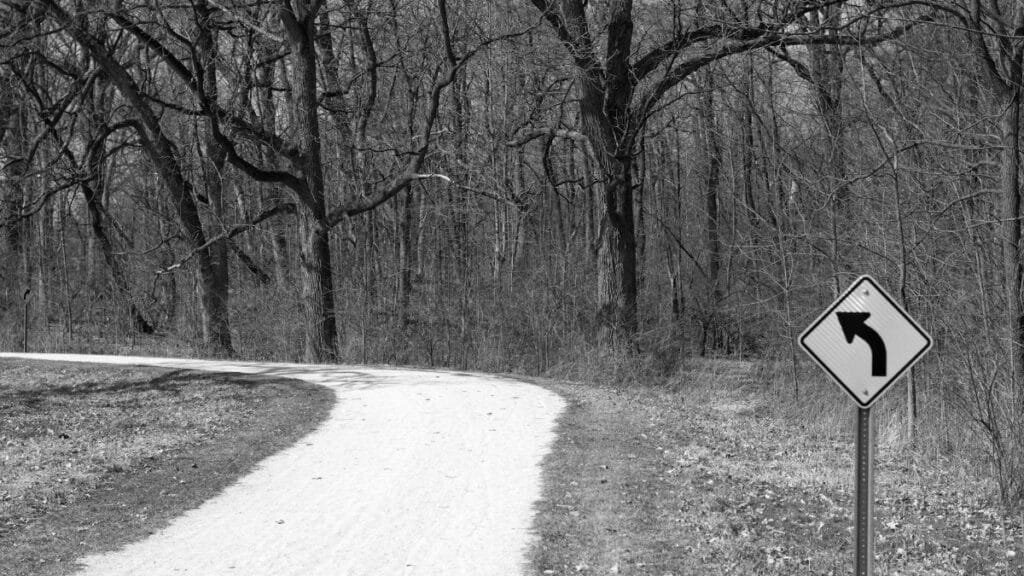 Black and white image of a forest path with a left curve road sign.