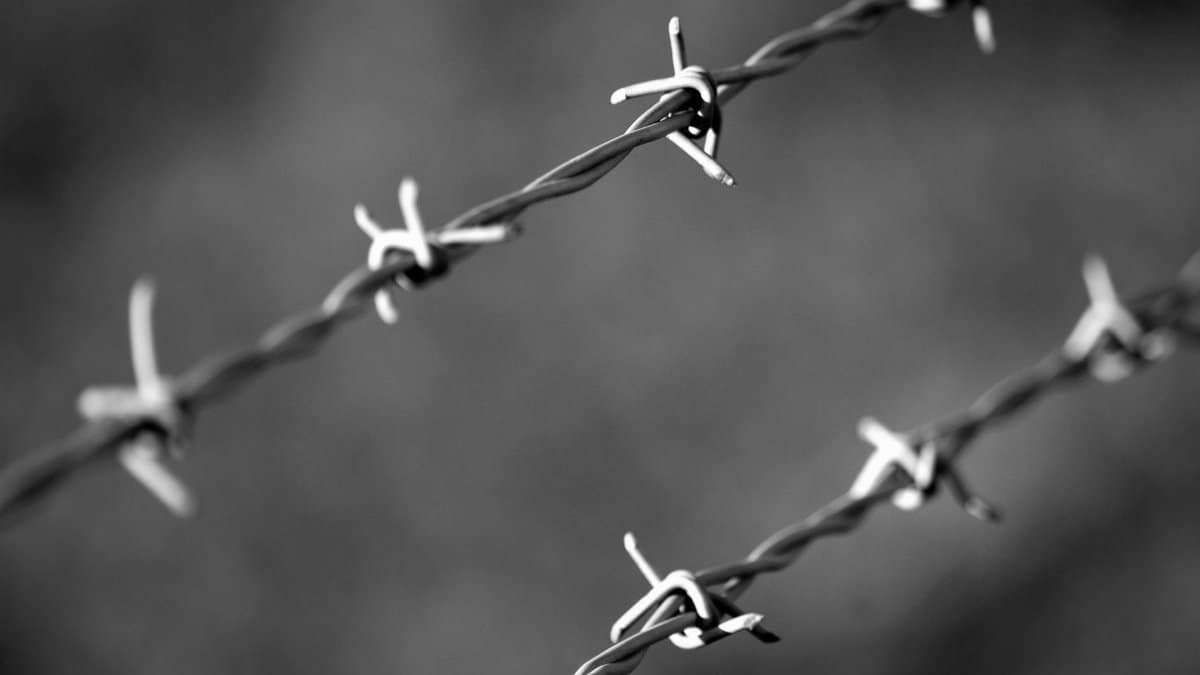 Black and white macro shot of barbed wire, blurring the background for an abstract feel.