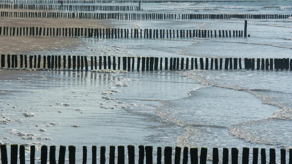 Wooden barriers line a serene coastal beach, capturing gentle sea waves and tranquil tides.