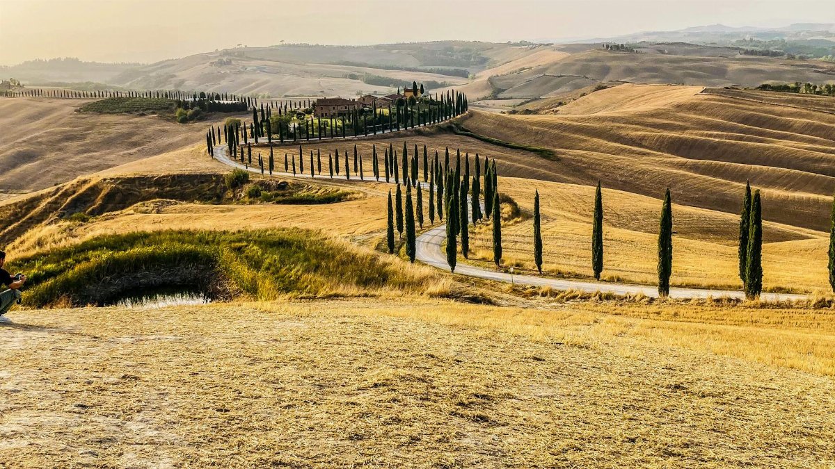 A scenic road winds through Tuscany's golden fields and cypress trees at sunset.