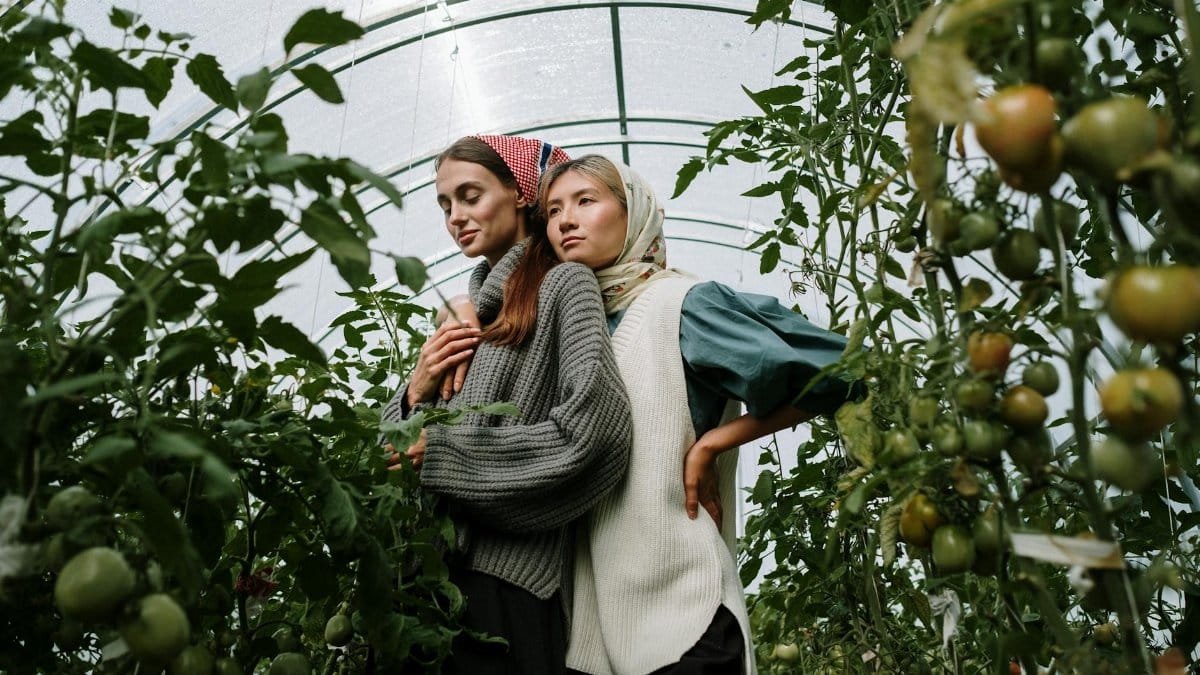 Two women embracing among lush tomato plants inside a tranquil greenhouse.