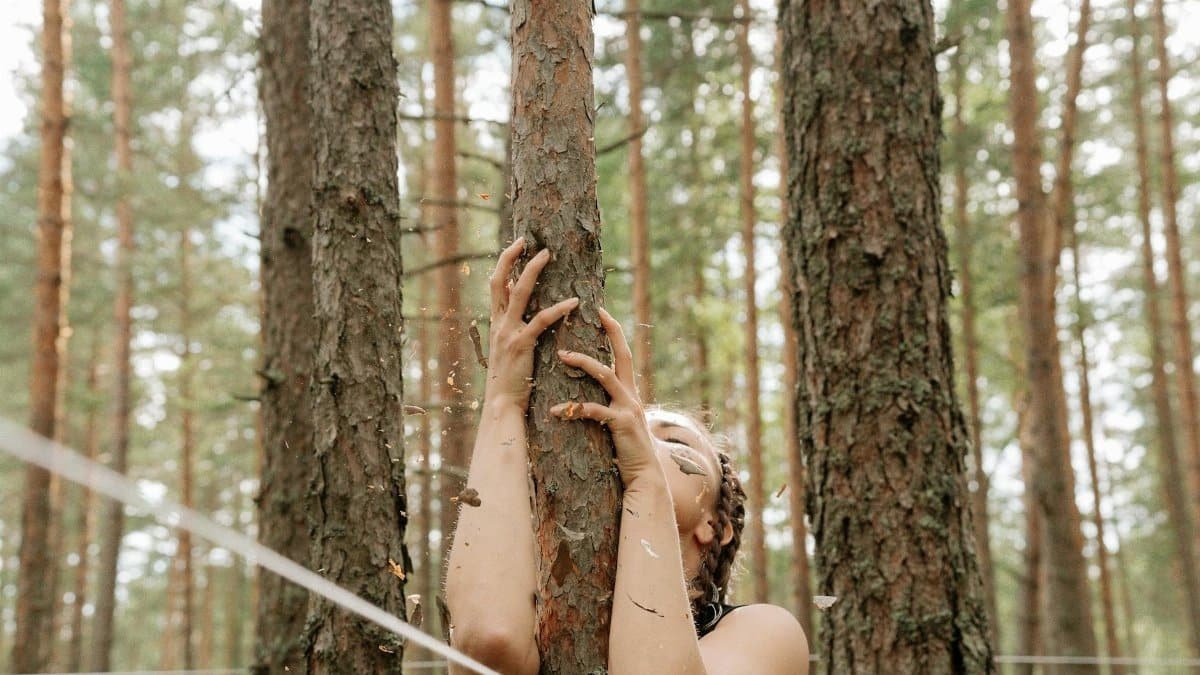 A serene moment captured of a woman embracing a tree trunk amidst a tall, sunlit forest.