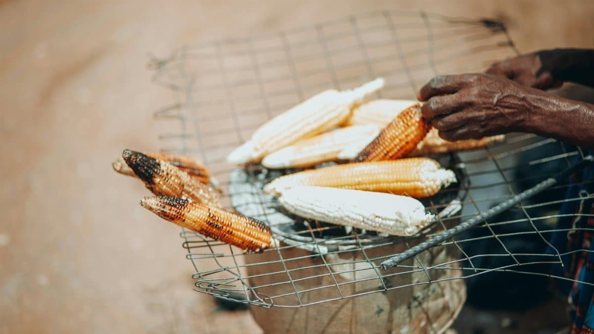 Granny's Sizzling Corn 😋 Freshly roasted maize on the roadside, straight from the grill! Come taste the tradition with this lovely old woman in Naija! 🌽🔥