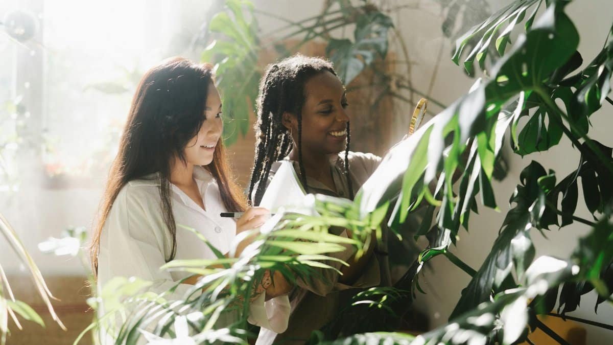 Two women botanists examining monstera plants indoors with sunlight filtering through leaves.