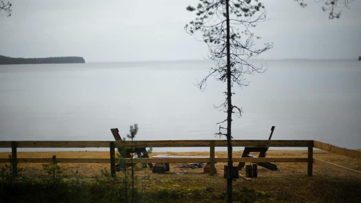 Peaceful lakeside scene with a wooden fence and empty benches, perfect for relaxation.