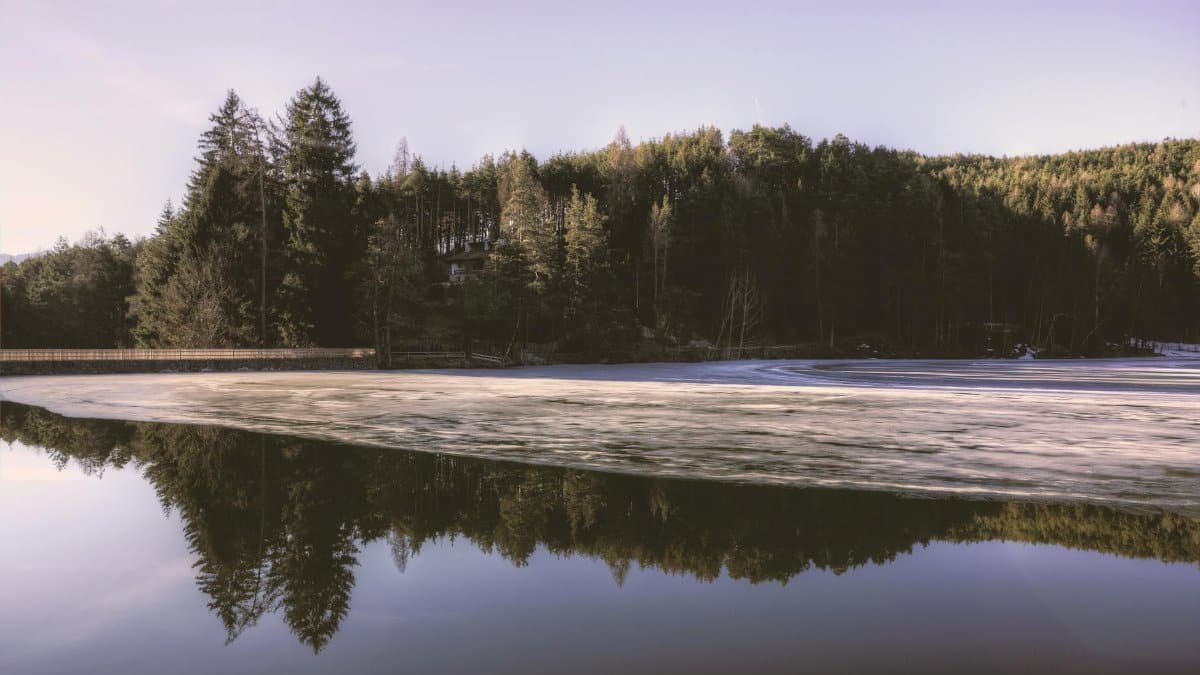 Serene scene of a tranquil forest lake with mirror reflections in early spring, capturing nature's calm.