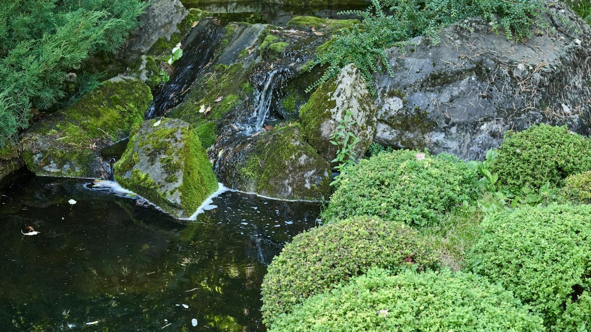 Tranquil scene of moss-covered rocks and gentle stream in a peaceful garden setting.