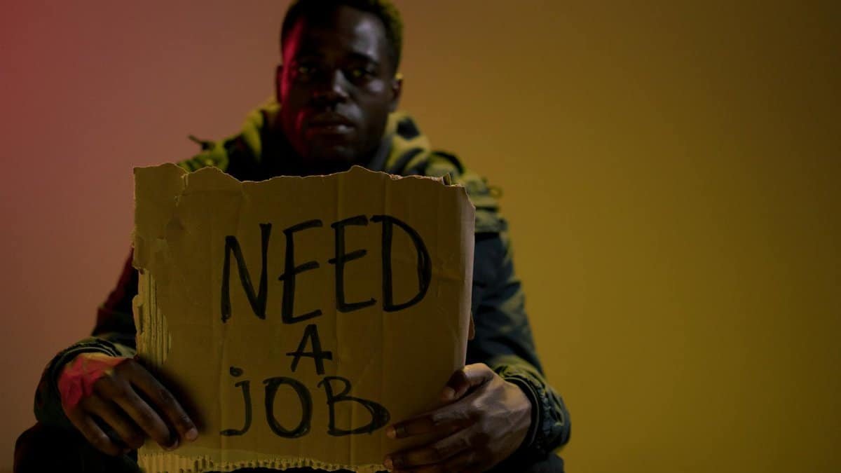 Man with a cardboard sign seeking employment, highlighting unemployment and social issues.