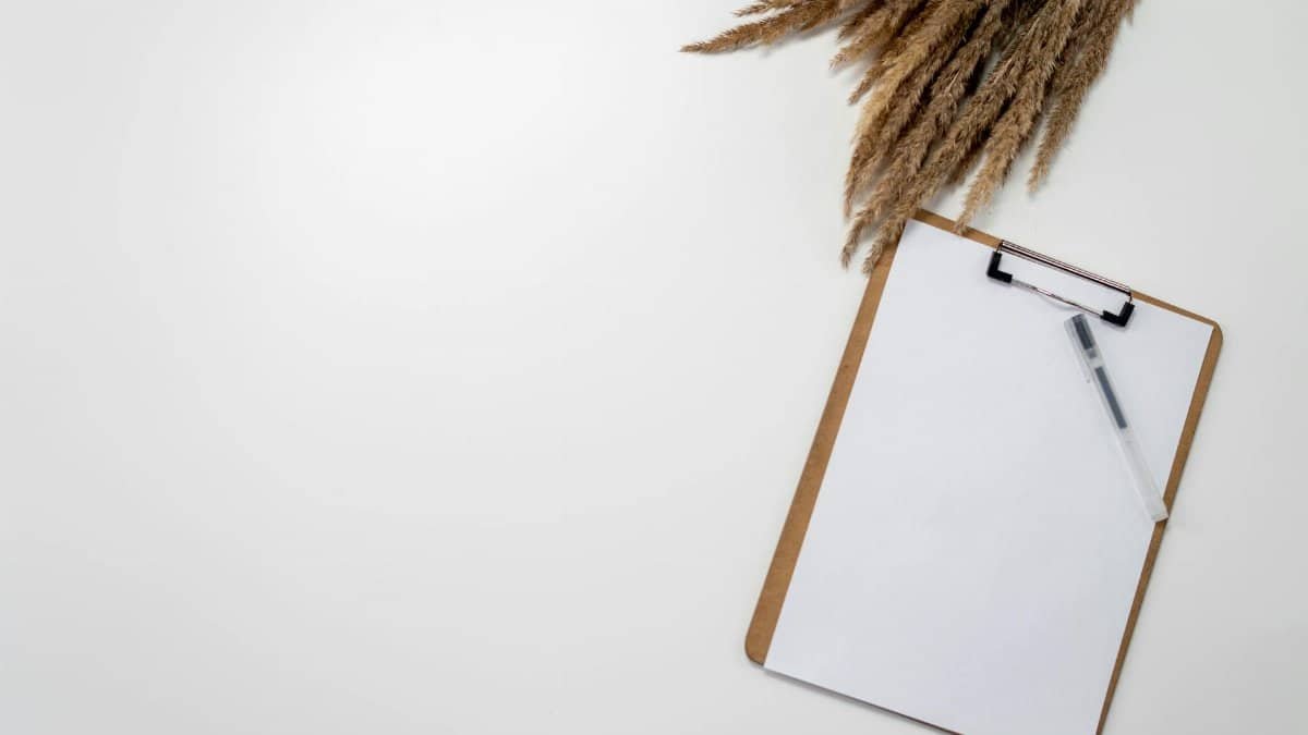 A clean and simple office setup featuring a clipboard and dried grasses on a white surface, ideal for design inspiration.