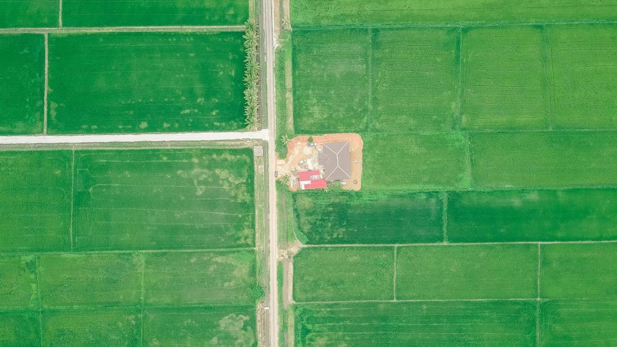 Drone view of long narrow beige road surrounded by verdant plantations in daylight