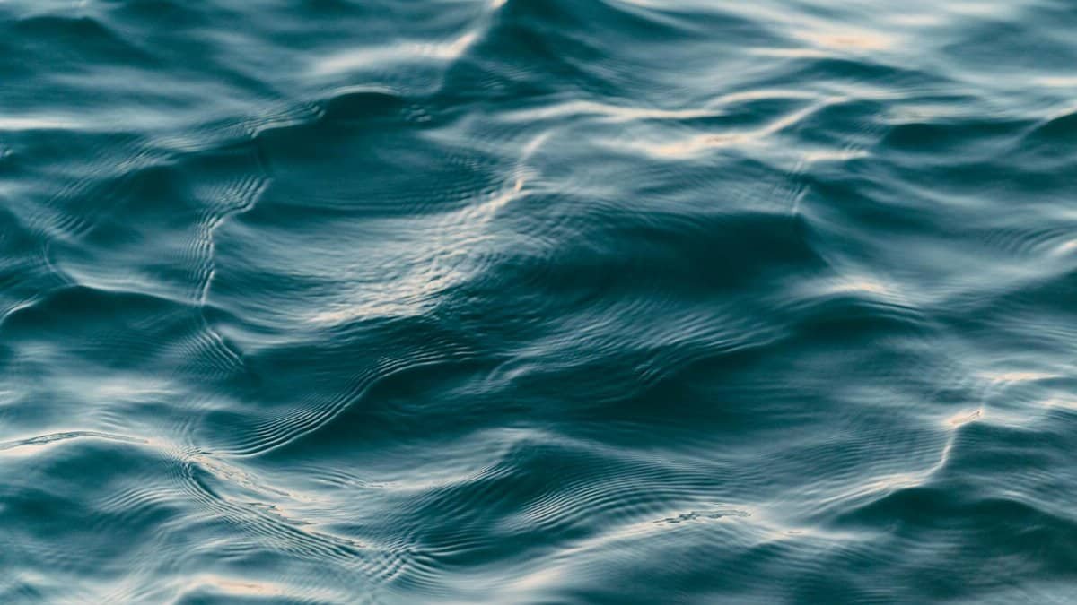 Calm blue ocean waves creating a soothing ripple texture, ideal for backgrounds.